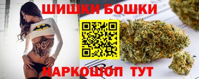 сатива Кингисепп