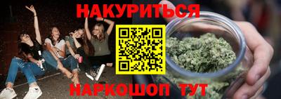сатива Кингисепп