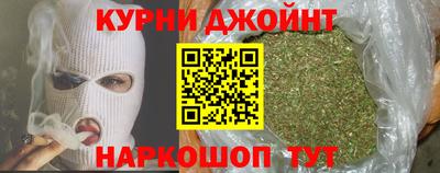 сатива Кингисепп