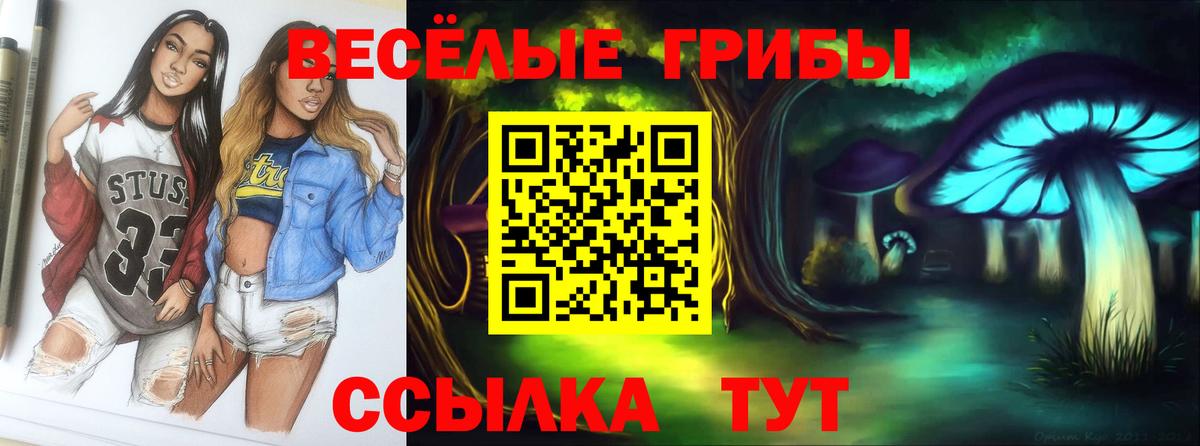 Каспийск  Галлюциногенные грибы Psilocybine cubensis  Псилоцибиновые грибы Psilocybe  Вход с VPN 